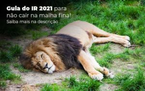 Ir 2021 O Que é Preciso Saber Sobre? - EIFFEL ORGANIZACAO CONTABIL