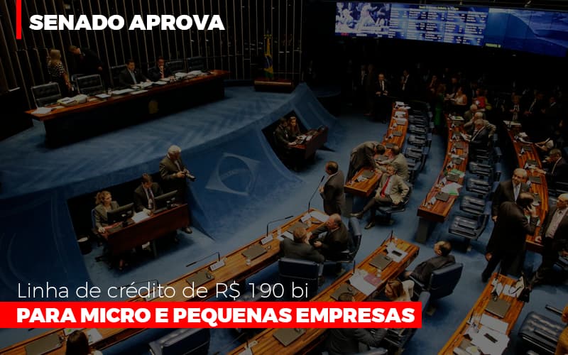 Senado Aprova Linha De Crédito De R$190 Bi Para Micro E Pequenas Empresas - EIFFEL ORGANIZACAO CONTABIL