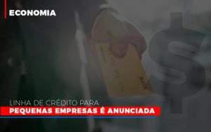 Linha De Crédito Para Pequenas Empresas é Anunciada - EIFFEL ORGANIZACAO CONTABIL